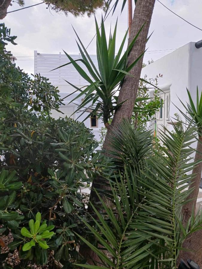 Cassaris Mykonos Holiday home *